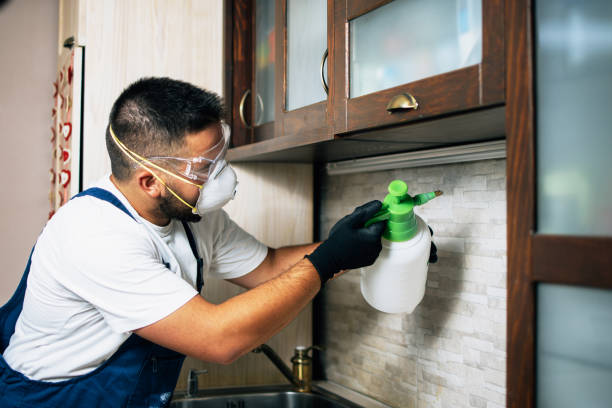 Best Cockroach Control Services  in Mercersburg, PA