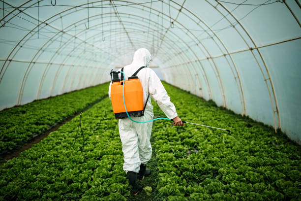 Best Exterminator Services  in Mercersburg, PA
