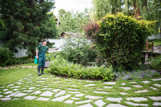 Best Local Pest Control Services  in Mercersburg, PA