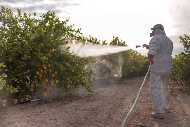 Best Commercial Pest Control Services  in Mercersburg, PA