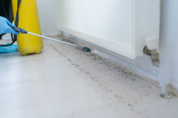 Insect Control in Mercersburg, PA