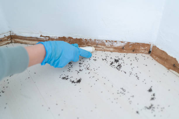 Best Pest Removal Services  in Mercersburg, PA