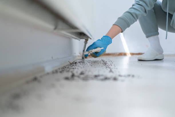 Best Flea Control Services  in Mercersburg, PA